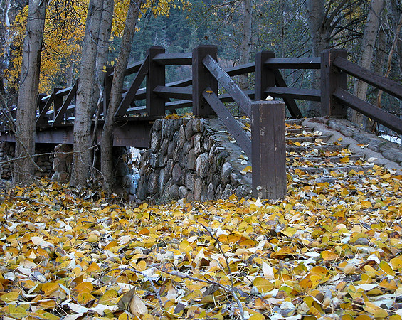 Yosemite Bridge
